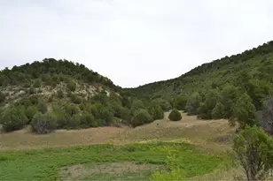 17001 Peacock Rd, Trinidad, CO 81082 - Photo 35