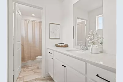 5564 Fleur De Lis Ln, Timnath, CO 80547 - Photo 11