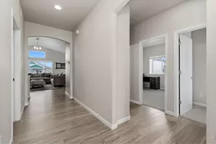 217 Saskatoon Dr, Windsor, CO 80550 - Photo 5