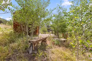 1502 Osage Trail, Red Feather Lakes, CO 80545 - Photo 43