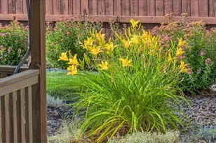 6015 Yellowtail St, Timnath, CO 80547 - Photo 19