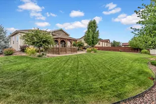 6015 Yellowtail St, Timnath, CO 80547 - Photo 21