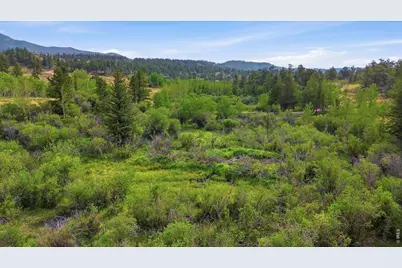 43 Chetco Ct, Red Feather Lakes, CO 80545 - Photo 13