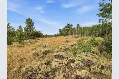 43 Chetco Ct, Red Feather Lakes, CO 80545 - Photo 31