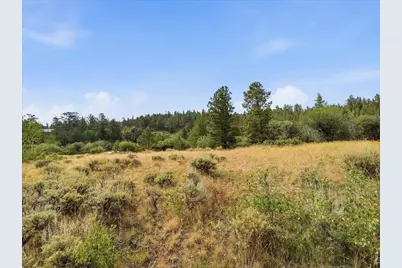 43 Chetco Ct, Red Feather Lakes, CO 80545 - Photo 27