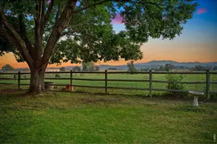 1733 S County Rd 21, Loveland, CO 80537 - Photo 33