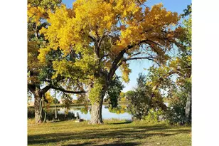 18691 County Road 80 1/2, Ault, CO 80610 - Photo 21
