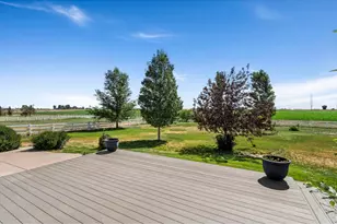 302 Immigrant Trail, Severance, CO 80550 - Photo 29