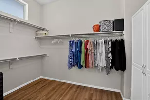 6553 Snow Bank Dr, Timnath, CO 80547 - Photo 29