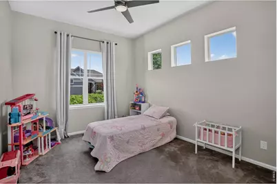 6553 Snow Bank Dr, Timnath, CO 80547 - Photo 31