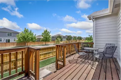 3793 Wine Cup St, Wellington, CO 80549 - Photo 31