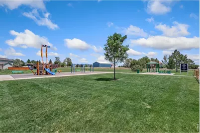 3793 Wine Cup St, Wellington, CO 80549 - Photo 41