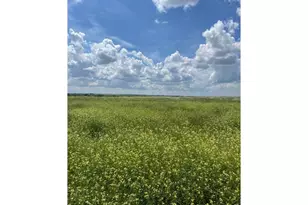 15563 Road 7 3, Wiggins, CO 80654 - Photo 35