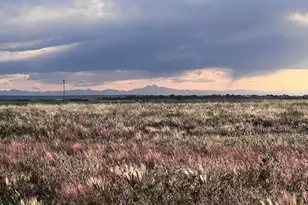 15563 Road 7 3, Wiggins, CO 80654 - Photo 3