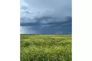 15563 Road 7 3, Wiggins, CO 80654 - Photo 29