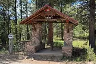 248 Hiawatha Hwy, Red Feather Lakes, CO 80545 - Photo 13