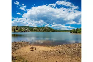 248 Hiawatha Hwy, Red Feather Lakes, CO 80545 - Photo 19
