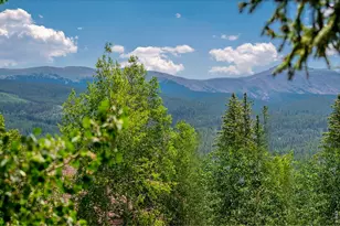 139 Forest Trail, Winter Park, CO 80482 - Photo 5