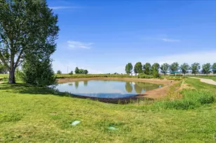 4101 Crittenton Ln, Wellington, CO 80549 - Photo 23