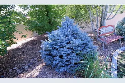 7404 Ladbroke Dr, Windsor, CO 80550 - Photo 41