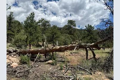 Prospect Mountain Dr, Estes Park, CO 80517 - Photo 17