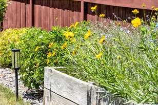 2104 Gather Ct, Windsor, CO 80550 - Photo 37