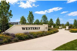 239 Washington St, Erie, CO 80516 - Photo 31