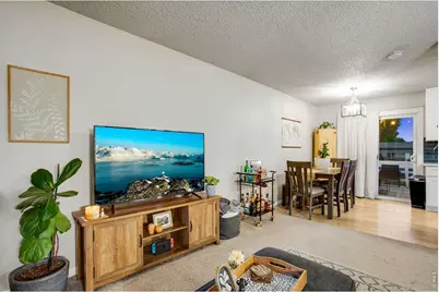 561 10th St, Windsor, CO 80550 - Photo 7