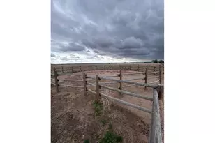 8969 Hwy 52, Wiggins, CO 80654 - Photo 39