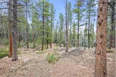 805 Lodge Pole Dr, Black Hawk, CO 80422 - Photo 37