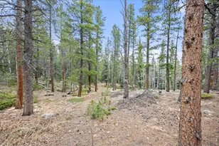 805 Lodge Pole Dr, Black Hawk, CO 80422 - Photo 37