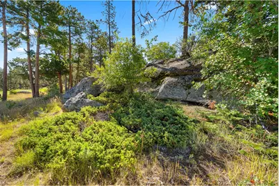 1532 Fox Acres Dr W, Red Feather Lakes, CO 80545 - Photo 11