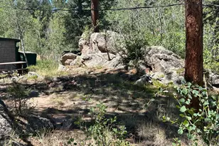 745 Nokomis Rd, Red Feather Lakes, CO 80545 - Photo 15