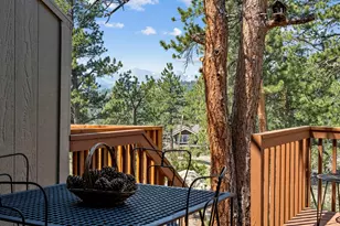321 Big Horn Dr, Estes Park, CO 80517 - Photo 5