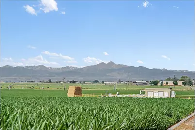 6335 County Road 46, Johnstown, CO 80534 - Photo 29