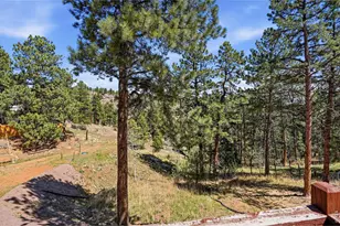 280 Bunny Rd, Bailey, CO 80421 - Photo 35