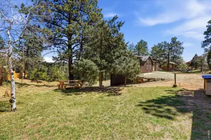 280 Bunny Rd, Bailey, CO 80421 - Photo 43