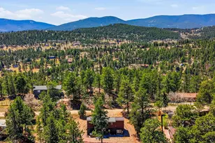 280 Bunny Rd, Bailey, CO 80421 - Photo 47