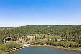 625 Pine Cone Cir, Ward, CO 80481 - Photo 31