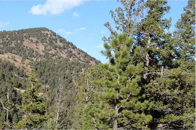 0 Pennsylvania Gulch Rd, Boulder, CO 80302 - Photo 17