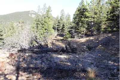 0 Pennsylvania Gulch Rd, Boulder, CO 80302 - Photo 9