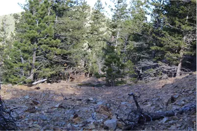 0 Pennsylvania Gulch Rd, Boulder, CO 80302 - Photo 5