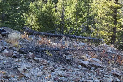 0 Pennsylvania Gulch Rd, Boulder, CO 80302 - Photo 15