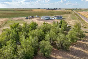 37101 Co Rd 59, Eaton, CO 80615 - Photo 7