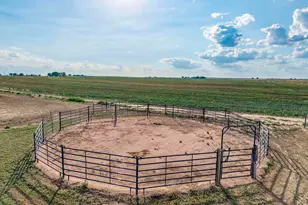 37101 Co Rd 59, Eaton, CO 80615 - Photo 43