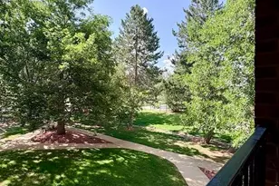 3303 Madison Ave, Boulder, CO 80303 - Photo 11