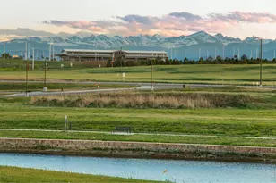 7373 Spanish Bay Dr, Windsor, CO 80550 - Photo 49