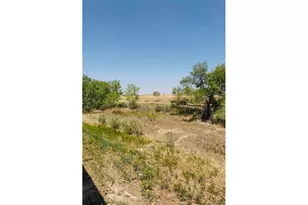 255 Kattell St, Erie, CO 80516 - Photo 41