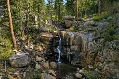 0 County Road 59, Allenspark, CO 80510 - Photo 3