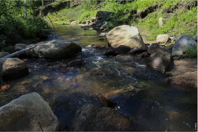 0 County Road 59, Allenspark, CO 80510 - Photo 19